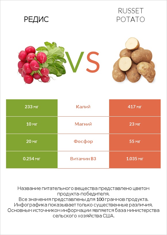 Редис vs Russet potato infographic