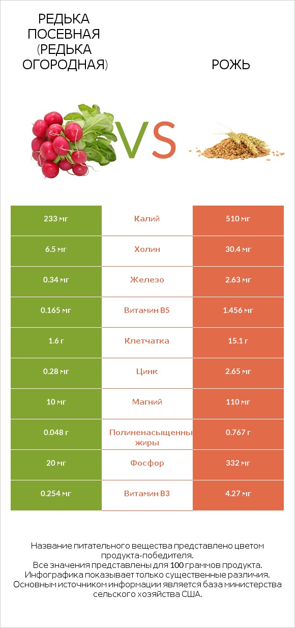 Редька посевная (Редька огородная) vs Рожь infographic