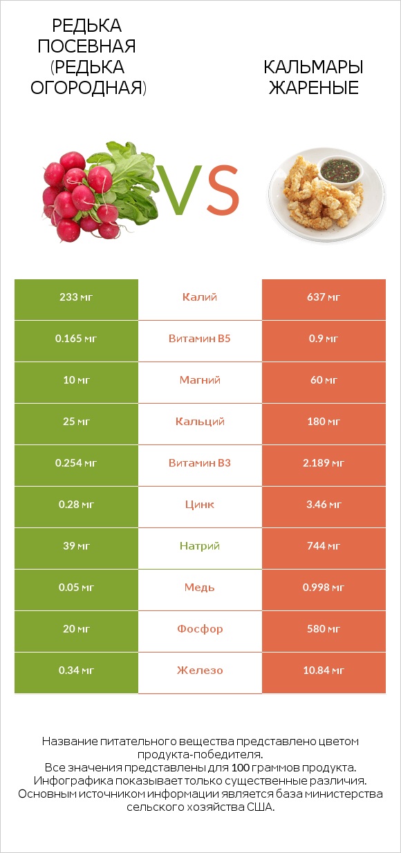 Редька посевная (Редька огородная) vs Кальмары жареные infographic