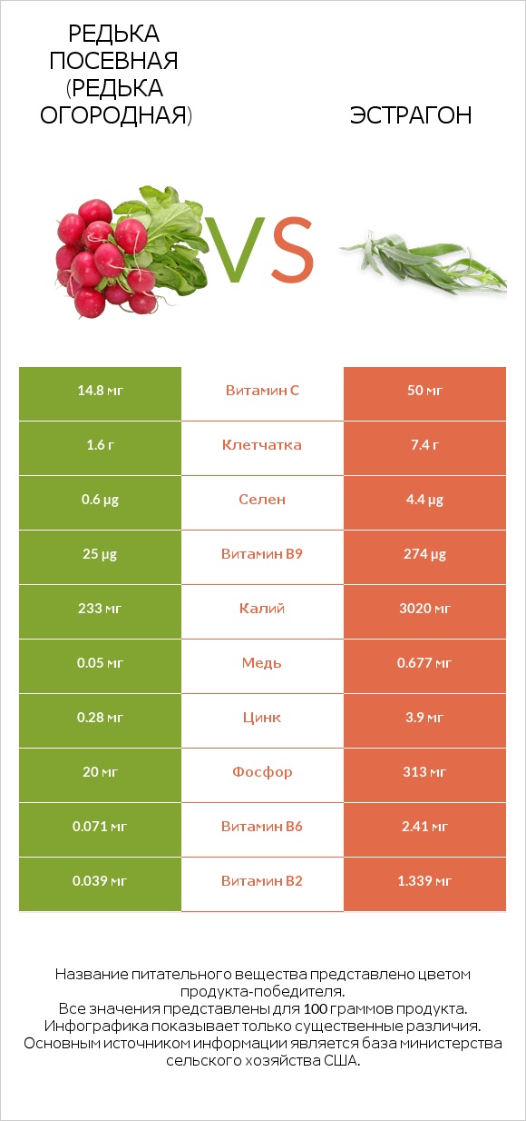 Редька посевная (Редька огородная) vs Эстрагон infographic