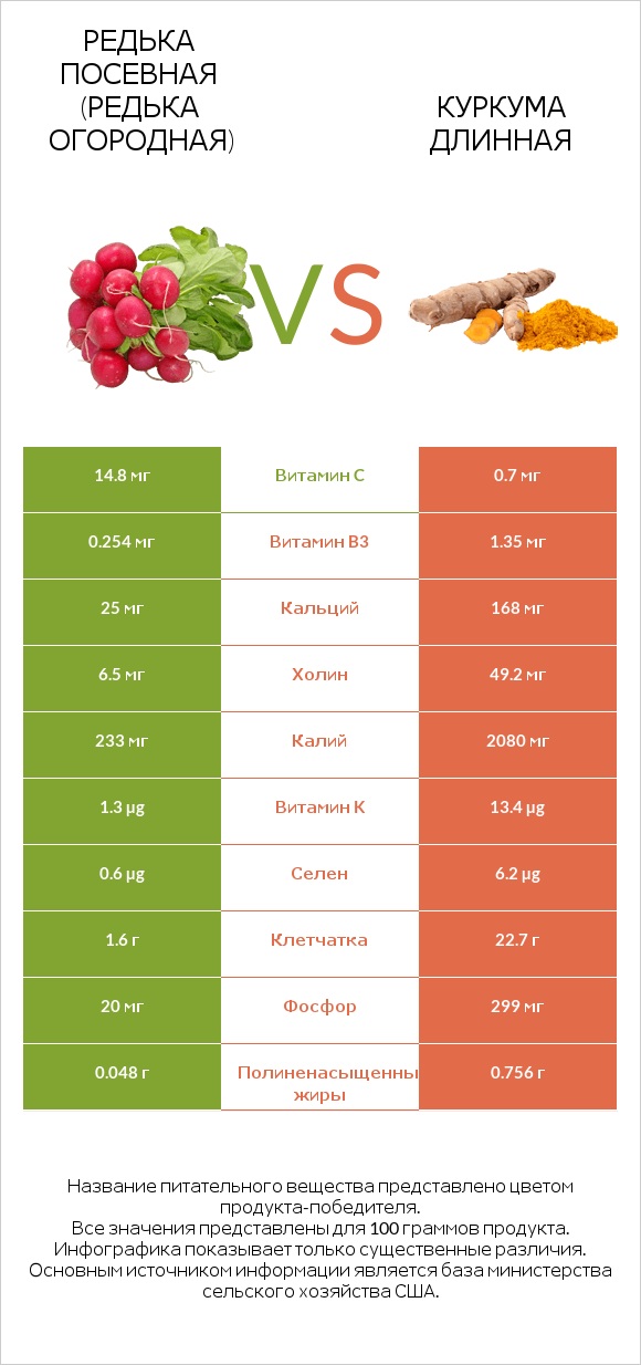 Редька посевная (Редька огородная) vs Куркума длинная infographic