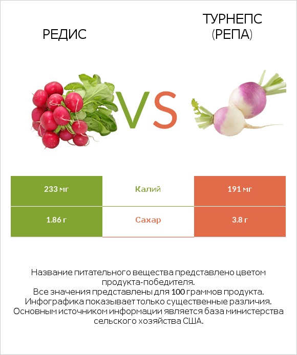 Редис vs Турнепс (репа) infographic