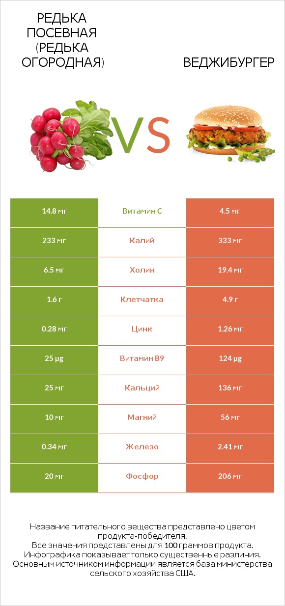 Редька посевная (Редька огородная) vs Веджибургер infographic