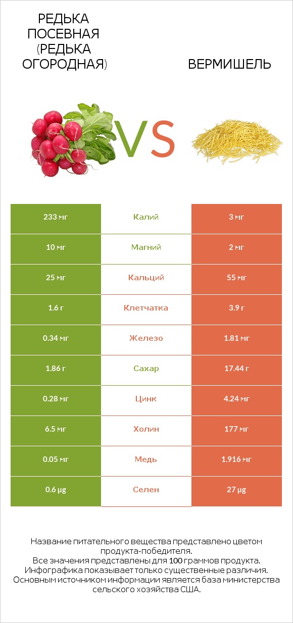 Редька посевная (Редька огородная) vs Вермишель infographic