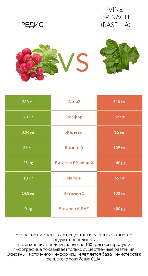 Редис vs Vine spinach (basella) infographic