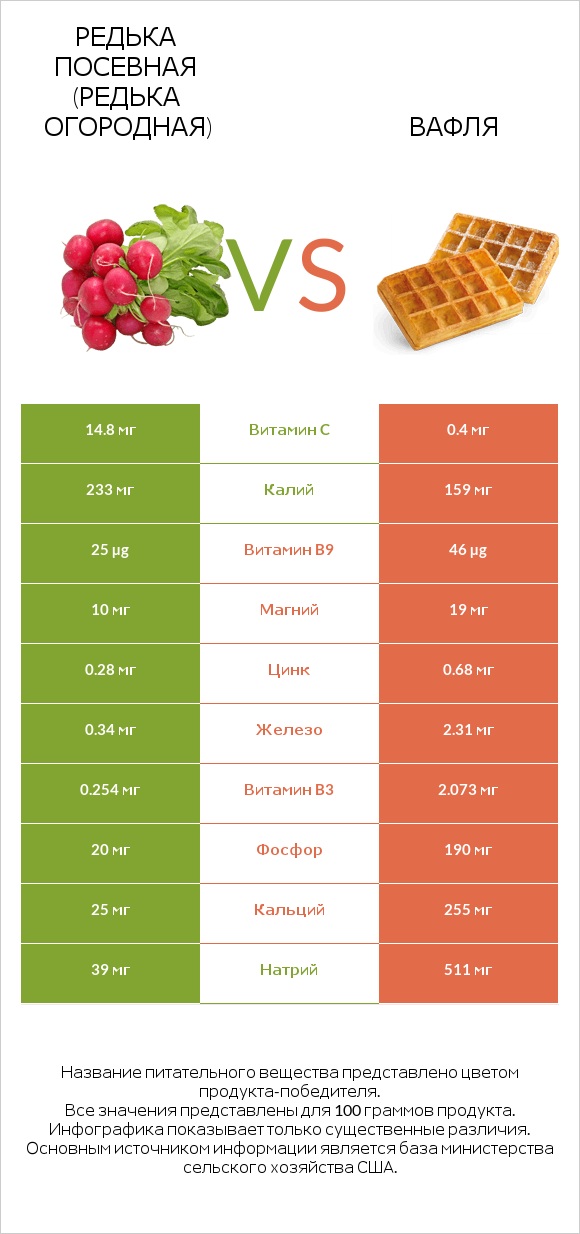 Редька посевная (Редька огородная) vs Вафля infographic