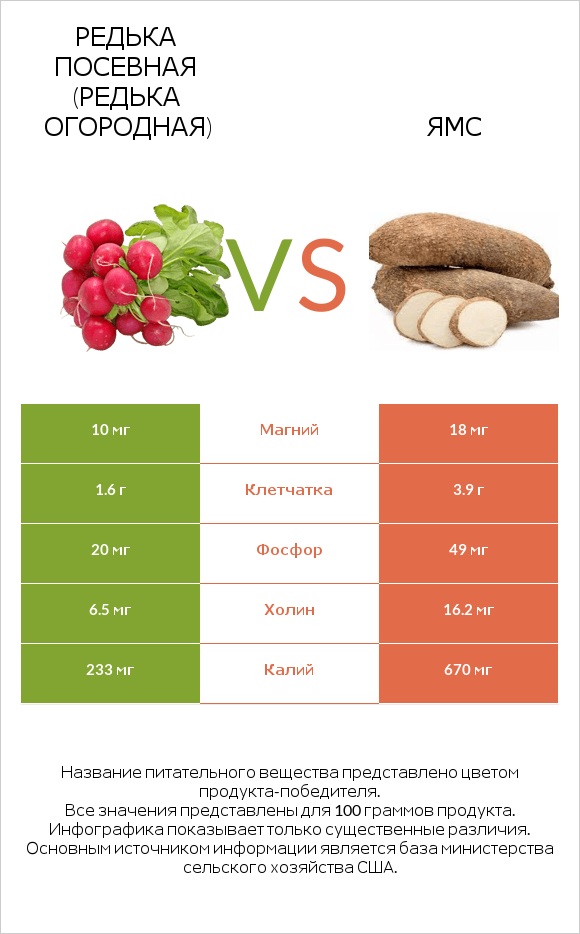 Редька посевная (Редька огородная) vs Ямс infographic