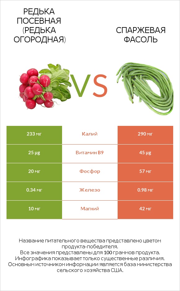 Редька посевная (Редька огородная) vs Спаржевая фасоль infographic