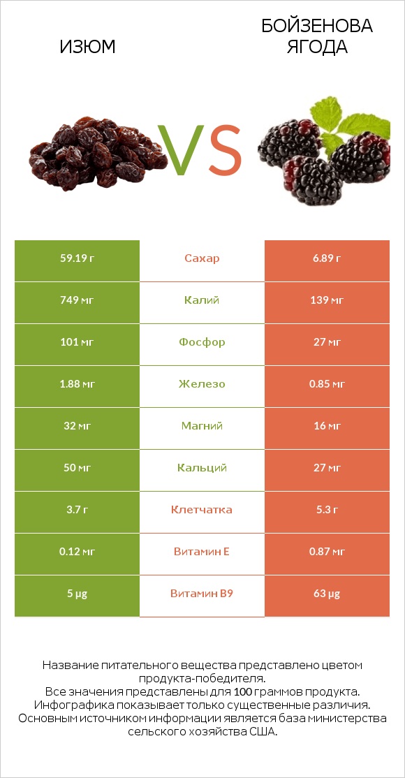 Изюм vs Бойзенова ягода infographic