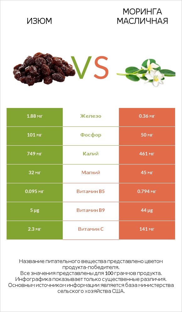 Изюм vs Моринга масличная infographic