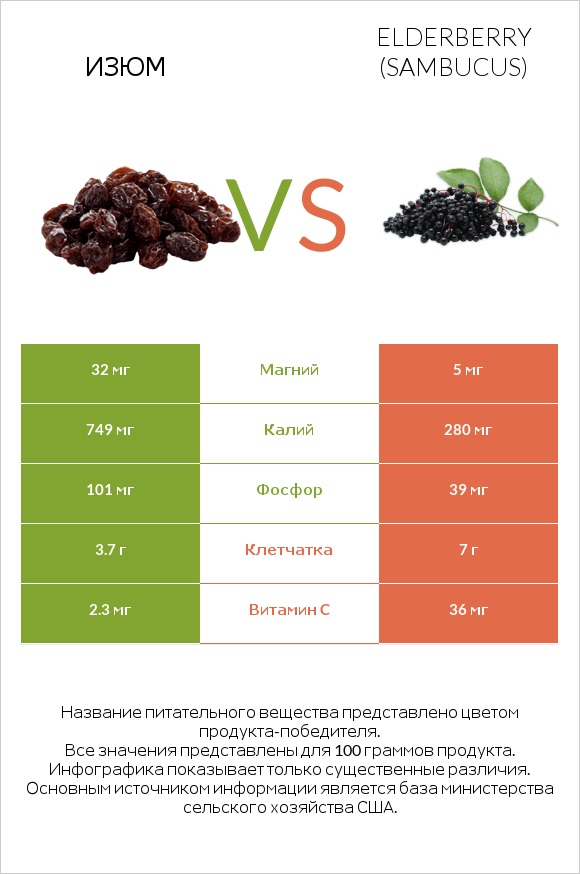 Изюм vs Elderberry infographic