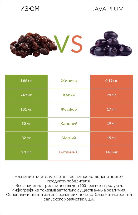 Изюм vs Java plum infographic
