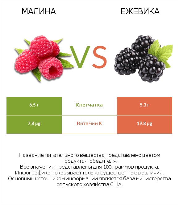 Малина vs Ежевика infographic