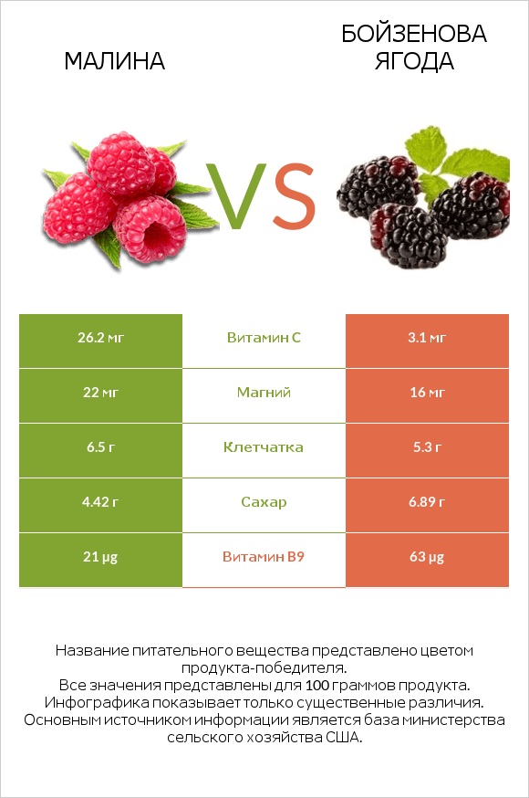 Малина vs Бойзенова ягода infographic