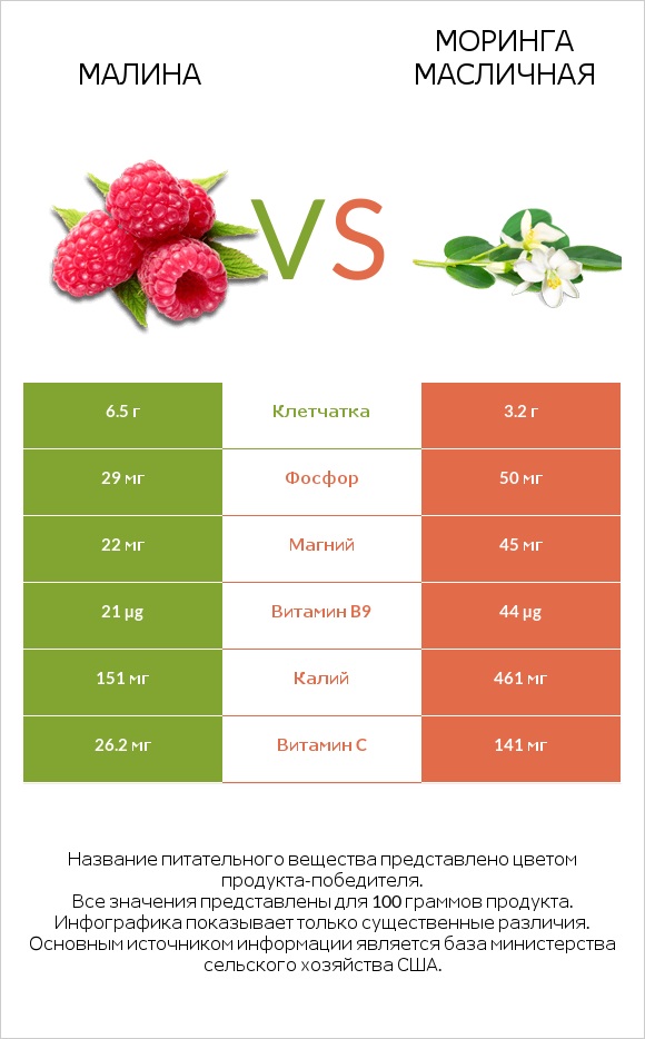 Малина vs Моринга масличная infographic