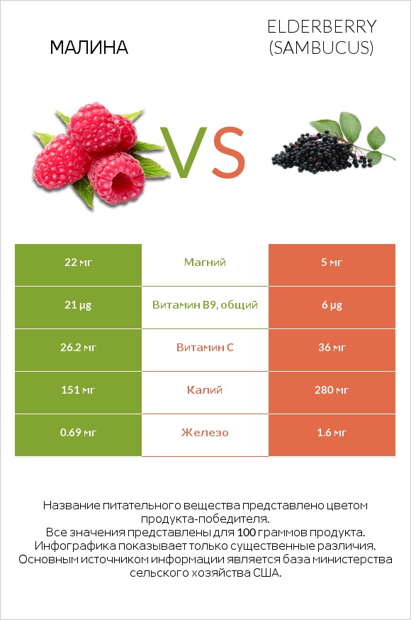 Малина vs Elderberry infographic