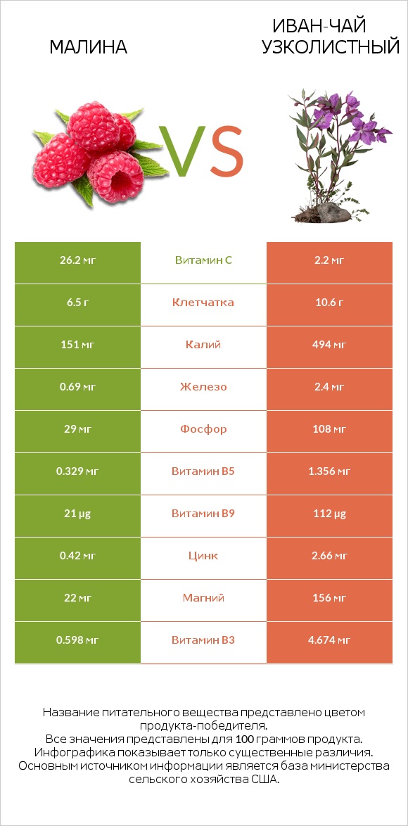 Малина vs Иван-чай узколистный infographic