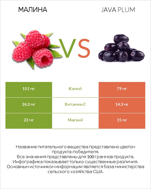 Малина vs Java plum infographic