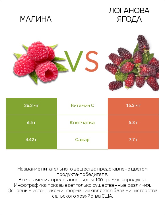 Малина vs Логанова ягода infographic