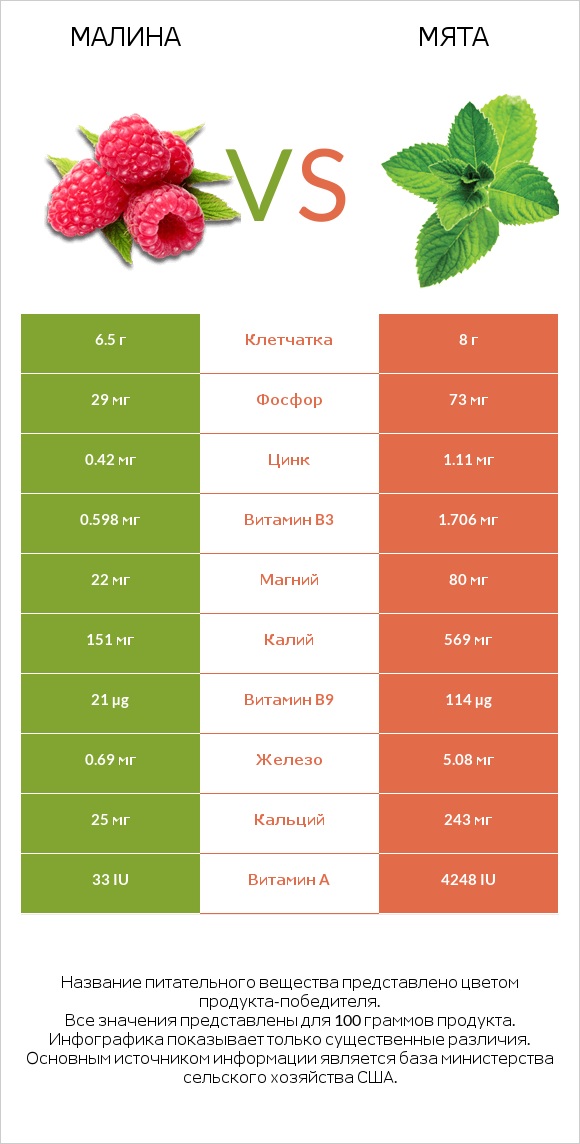 Малина vs Мята infographic