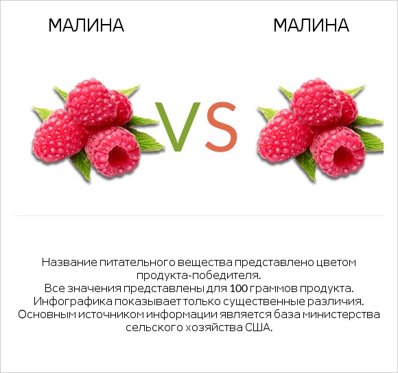 Малина vs Малина infographic