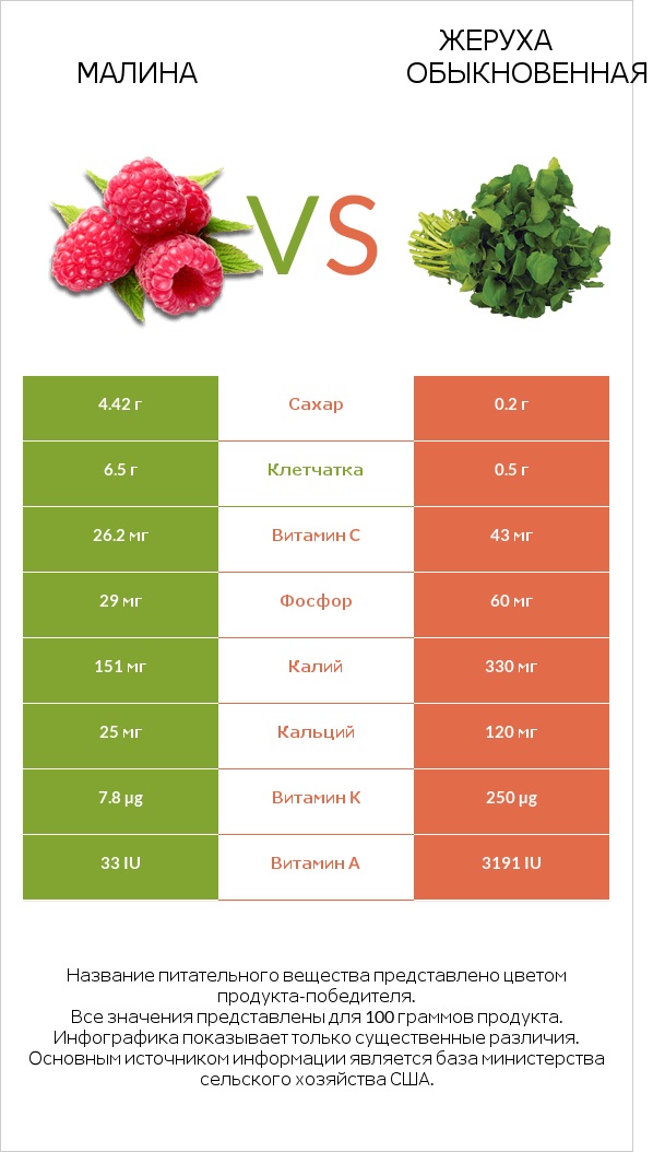 Малина vs Жеруха обыкновенная infographic