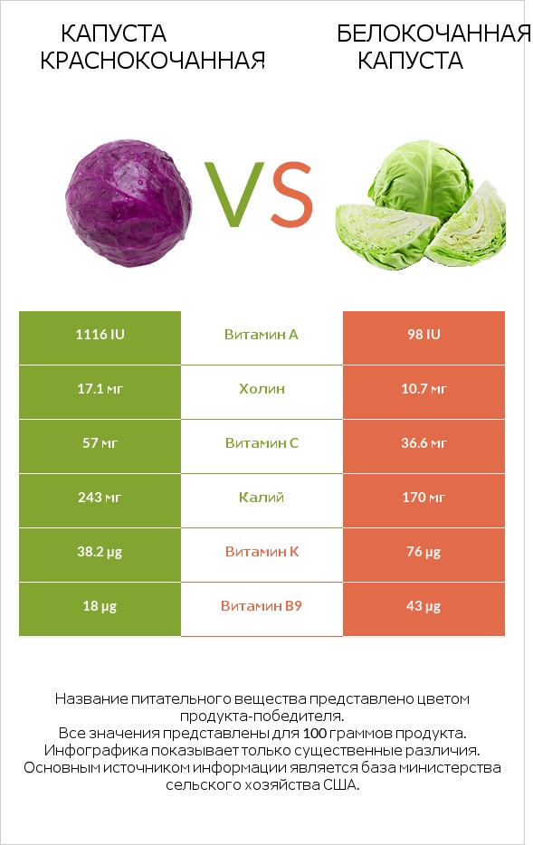 Капуста червона vs Капуста infographic