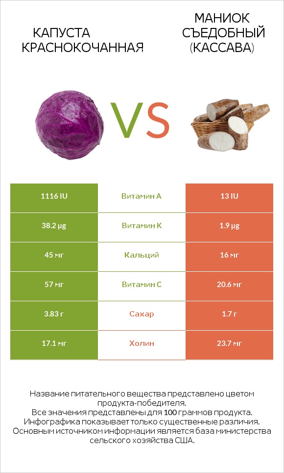 Капуста краснокочанная vs Маниок съедобный (кассава) infographic