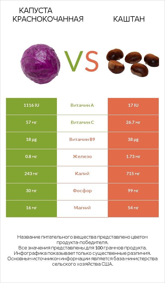 Капуста краснокочанная vs Каштан infographic