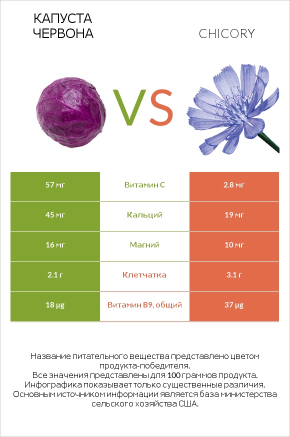 Капуста червона vs Chicory infographic