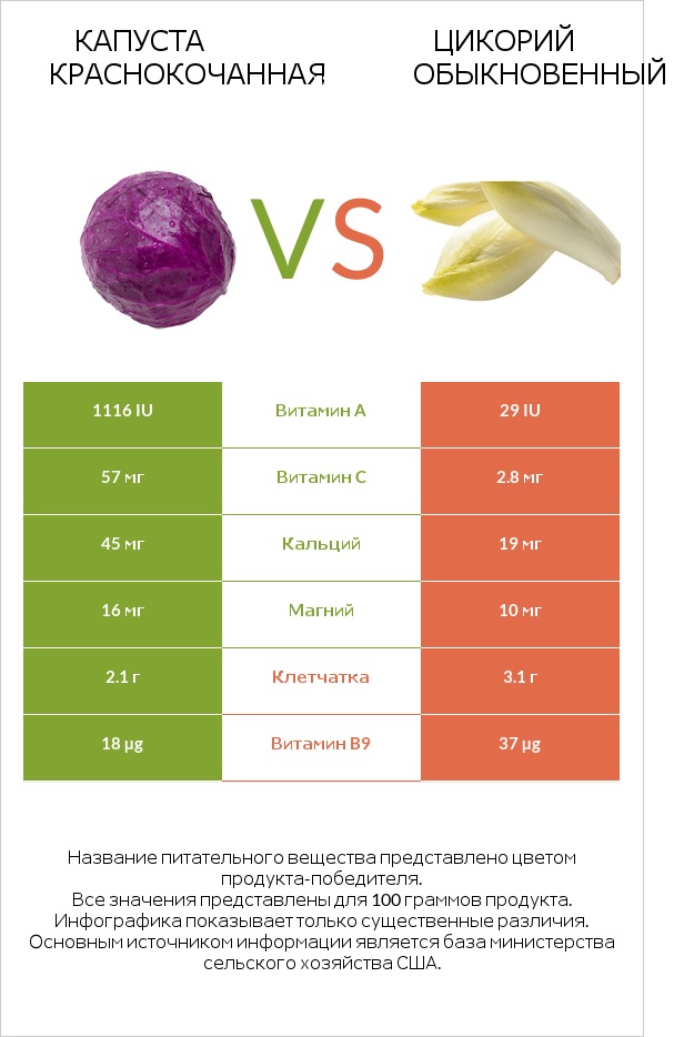 Капуста краснокочанная vs Цикорий обыкновенный infographic