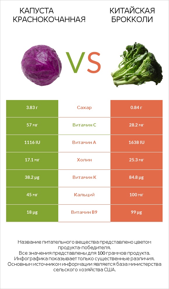 Капуста краснокочанная vs Китайская брокколи infographic