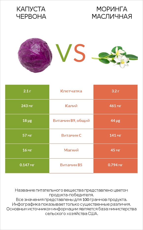 Капуста червона vs Моринга масличная infographic