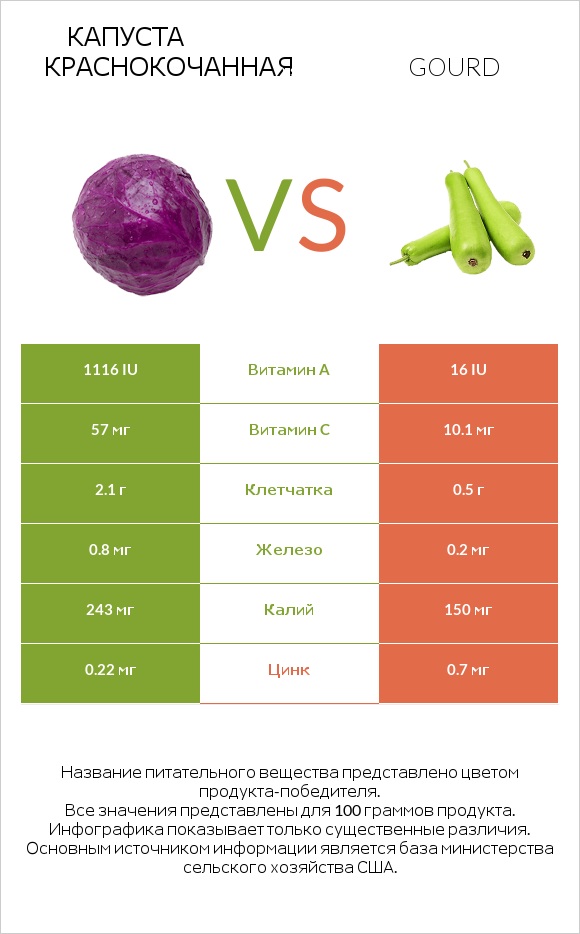 Капуста краснокочанная vs Gourd infographic