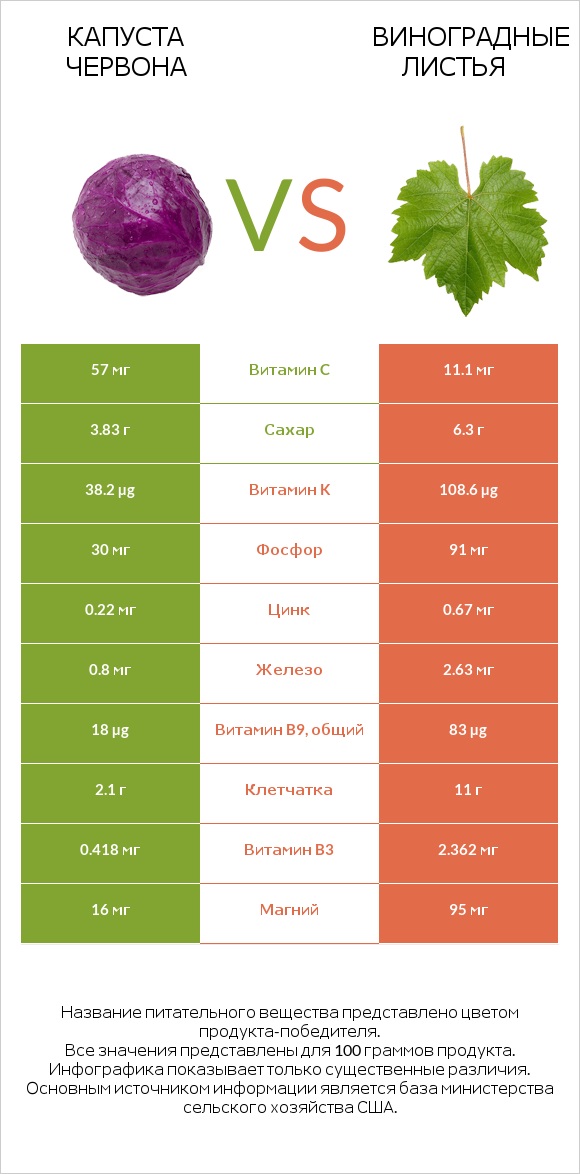 Капуста червона vs Виноградные листья infographic