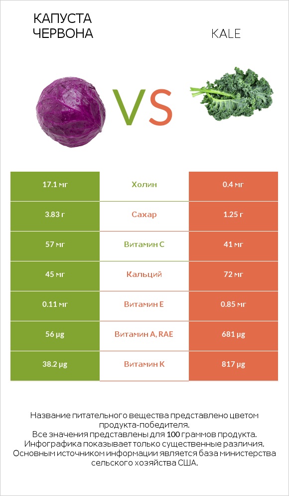 Капуста червона vs Kale infographic