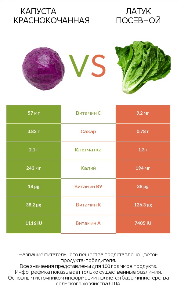 Капуста краснокочанная vs Латук посевной infographic