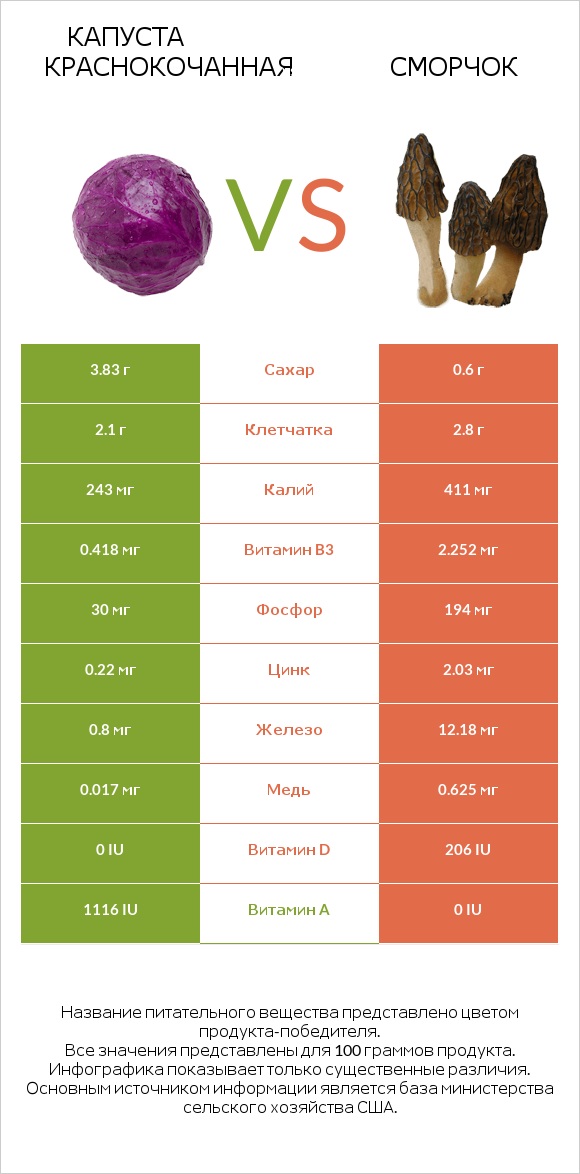 Капуста краснокочанная vs Сморчок infographic
