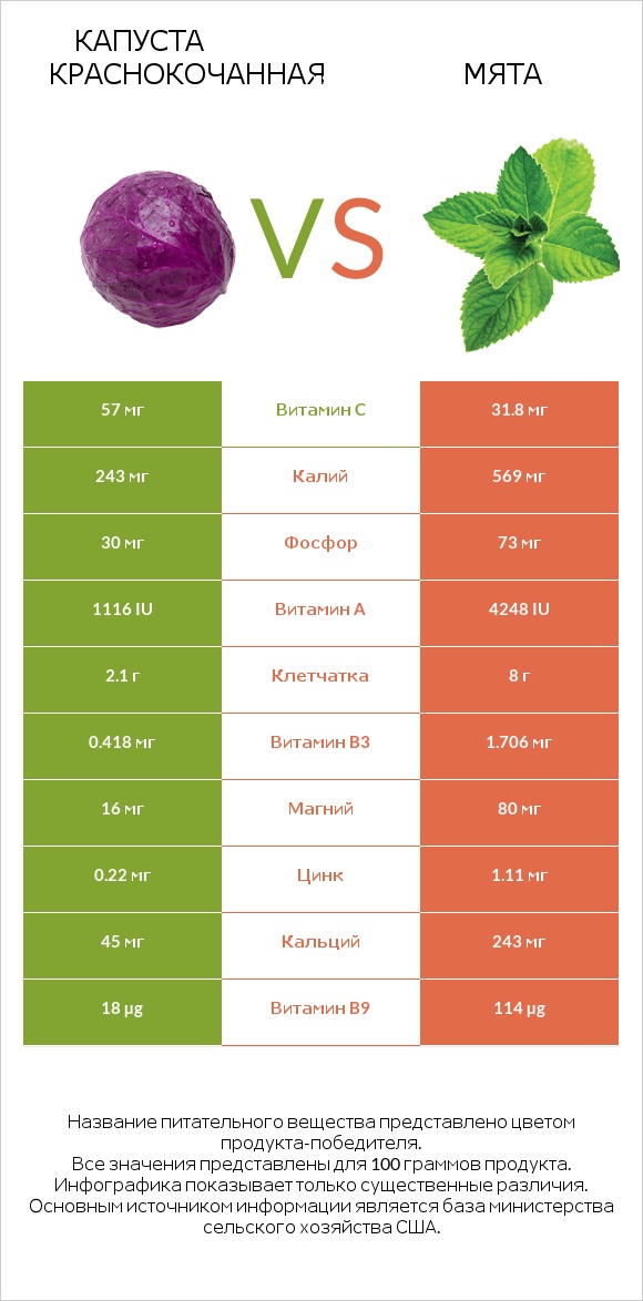 Капуста краснокочанная vs Мята infographic