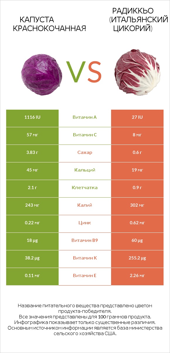 Капуста червона vs Radicchio infographic