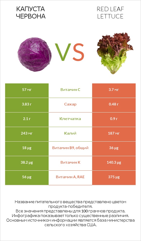 Капуста червона vs Red leaf lettuce infographic