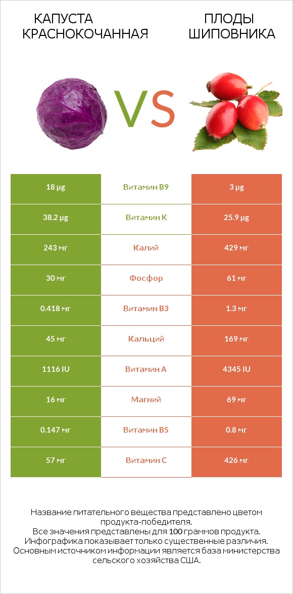 Капуста краснокочанная vs Плоды шиповника infographic