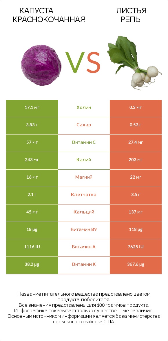 Капуста краснокочанная vs Листья репы infographic