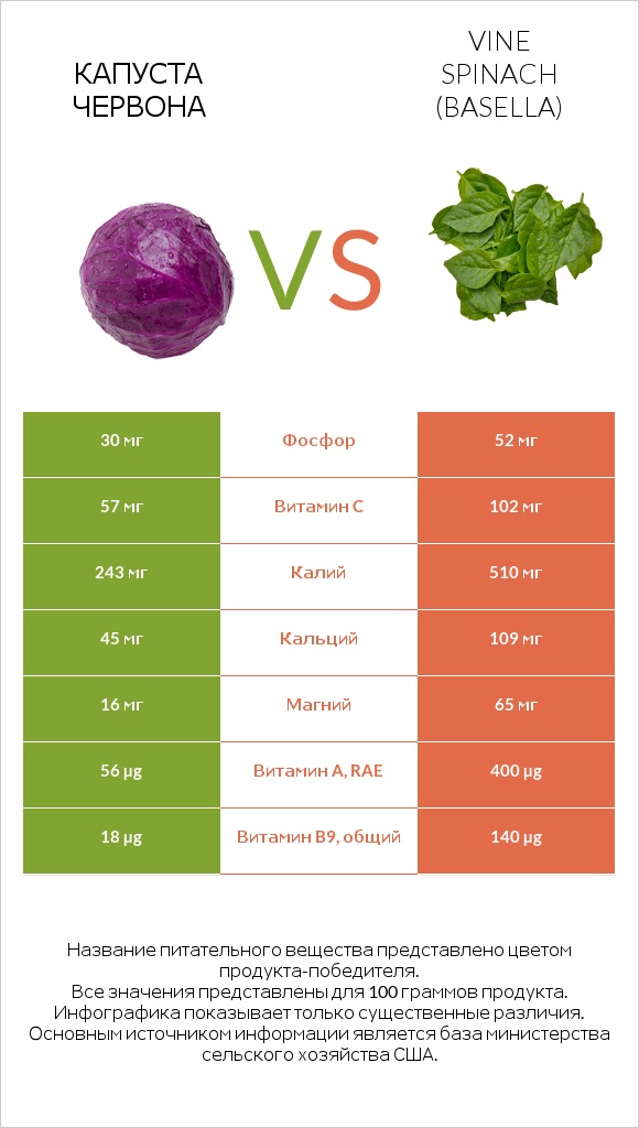Капуста червона vs Vine spinach (basella) infographic
