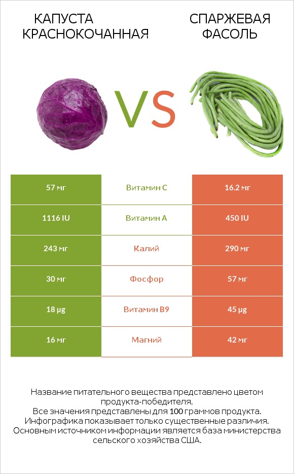 Капуста червона vs Спаржевая фасоль infographic