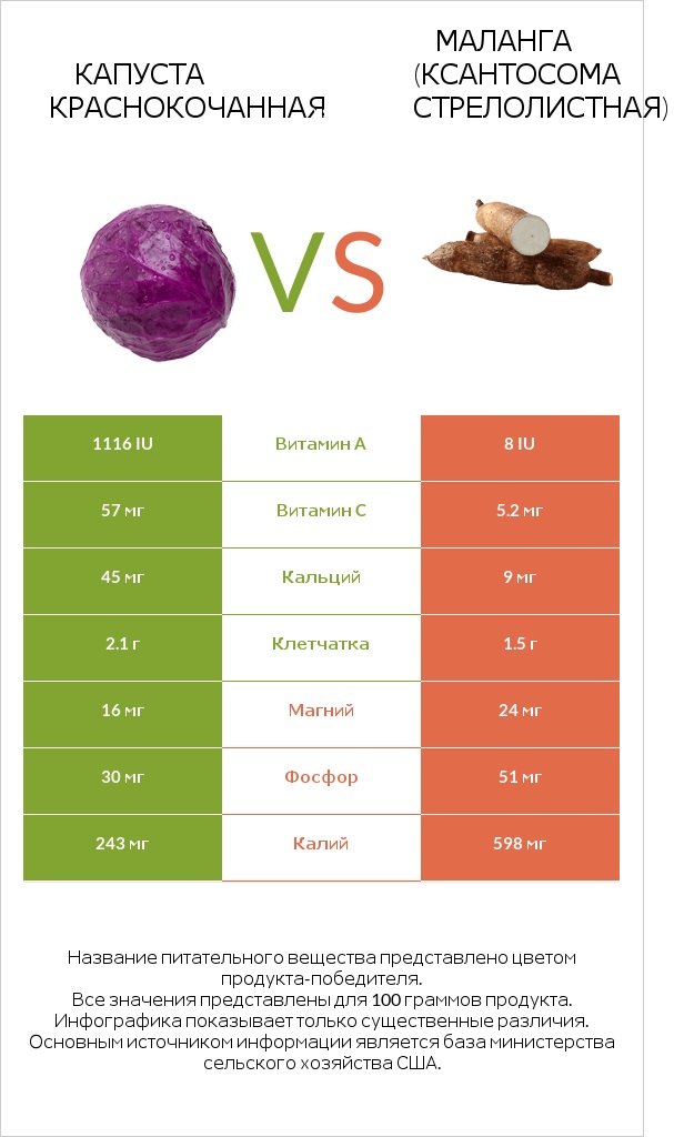 Капуста краснокочанная vs Маланга (Ксантосома стрелолистная) infographic