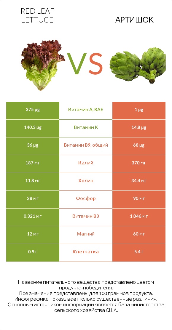 Red leaf lettuce vs Артишок infographic