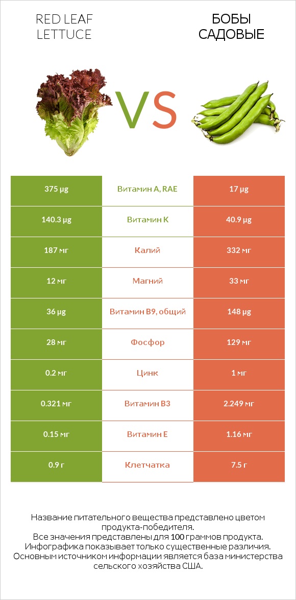 Red leaf lettuce vs Бобы садовые infographic