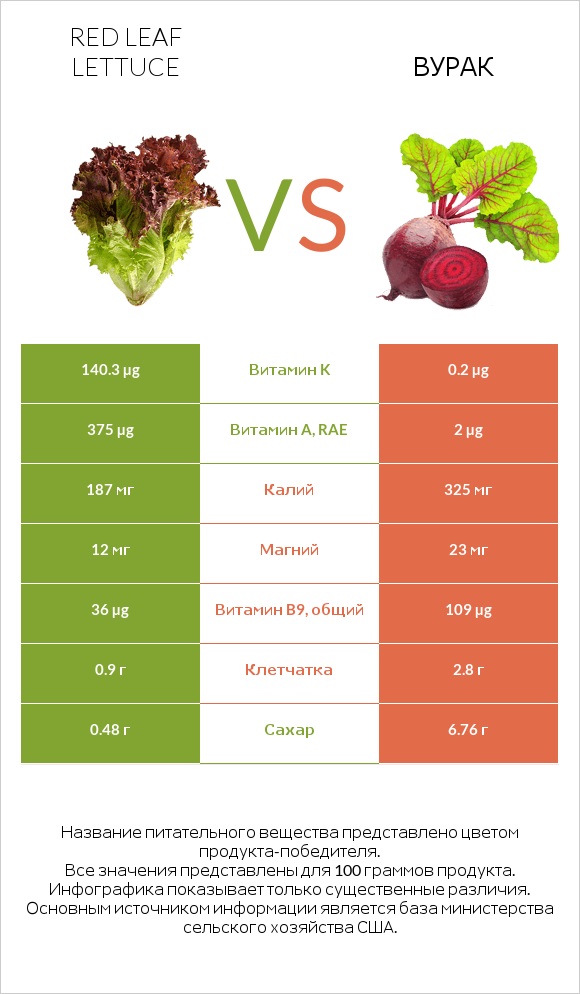 Red leaf lettuce vs Вурак infographic