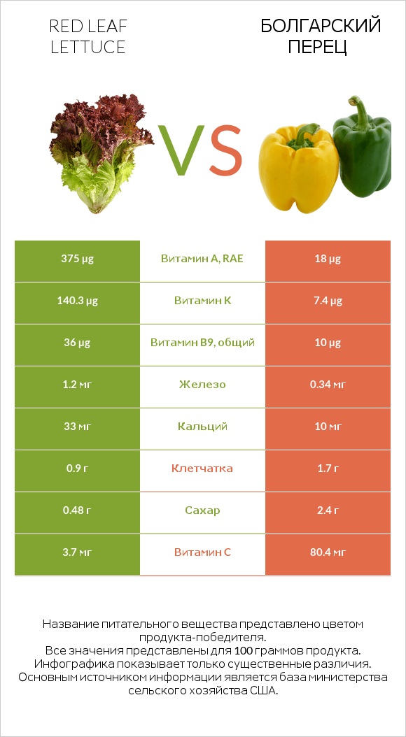 Red leaf lettuce vs Болгарский перец infographic